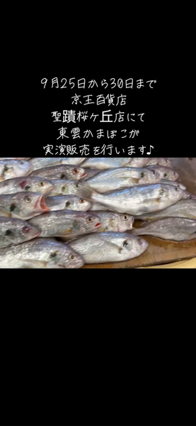 只今実演販売中〜